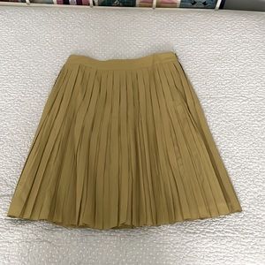 Petite Pleated Cotton Blend Skirt